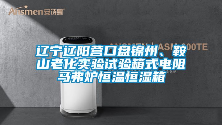 遼寧遼陽(yáng)營(yíng)口盤(pán)錦州、鞍山老化實(shí)驗(yàn)試驗(yàn)箱式電阻馬弗爐恒溫恒濕箱