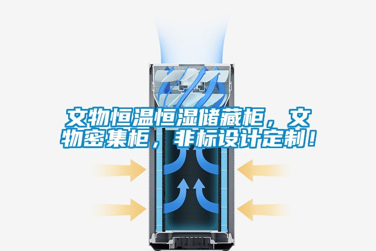 文物恒溫恒濕儲藏柜，文物密集柜，非標設計定制！