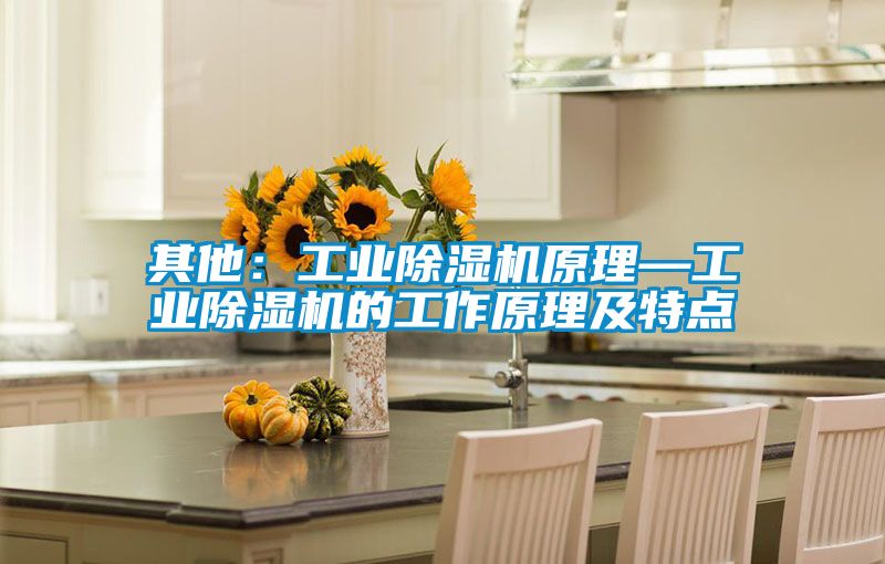 其他:工業(yè)除濕機原理—工業(yè)除濕機的工作原理及特點