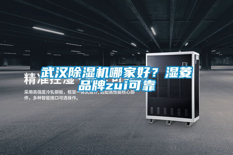 武漢除濕機哪家好?濕菱品牌zui可靠