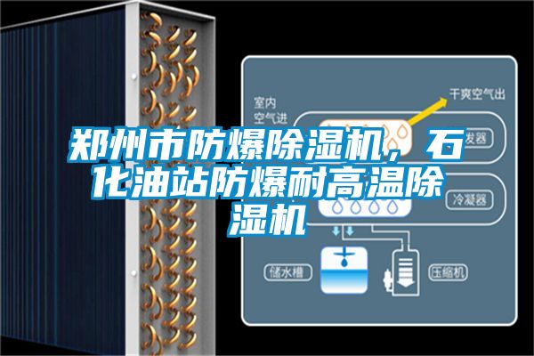 鄭州市防爆除濕機，石化油站防爆耐高溫除濕機