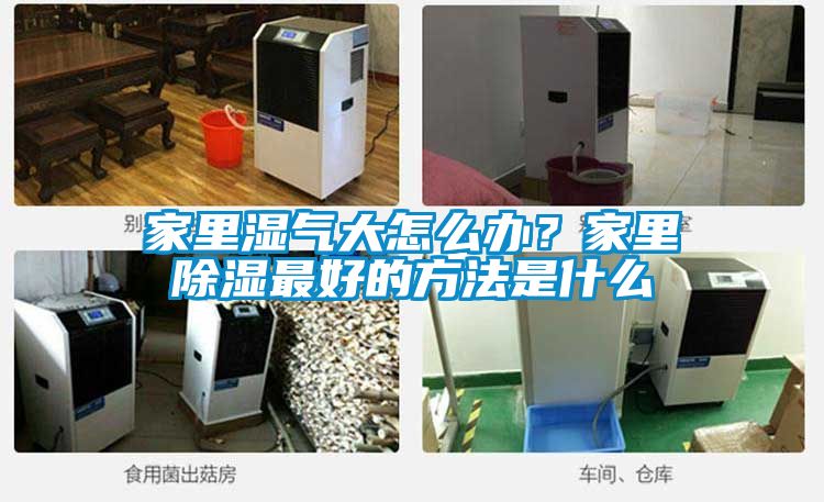 家里濕氣大怎么辦?家里除濕最好的方法是什么