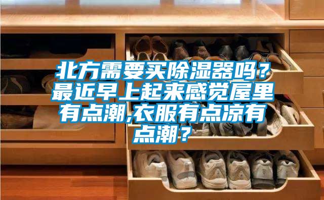 北方需要買除濕器嗎？最近早上起來感覺屋里有點(diǎn)潮,衣服有點(diǎn)涼有點(diǎn)潮？